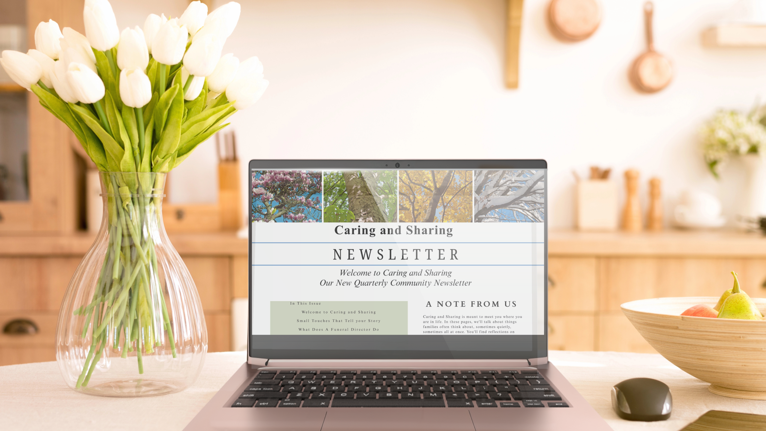 FAC Marketing newsletter programs